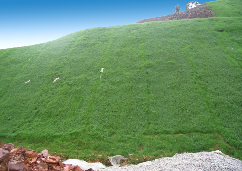 生態(tài)邊坡防護技術護坡原理