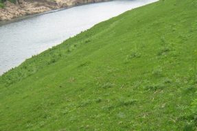 常見護坡樣式、特點及性能